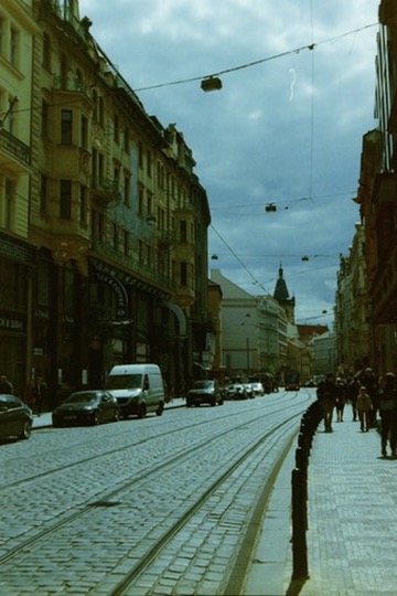 Film photograph 5