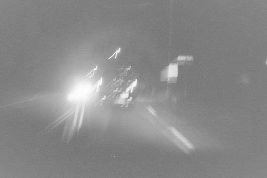Film photograph 6