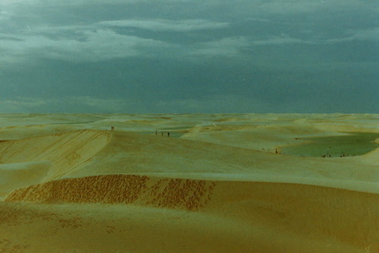Film photograph 8