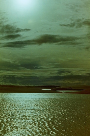 Film photograph 9