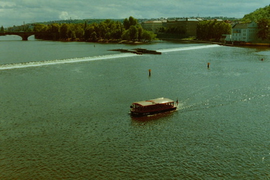 Film photograph 12
