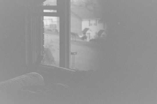 Film photograph 15