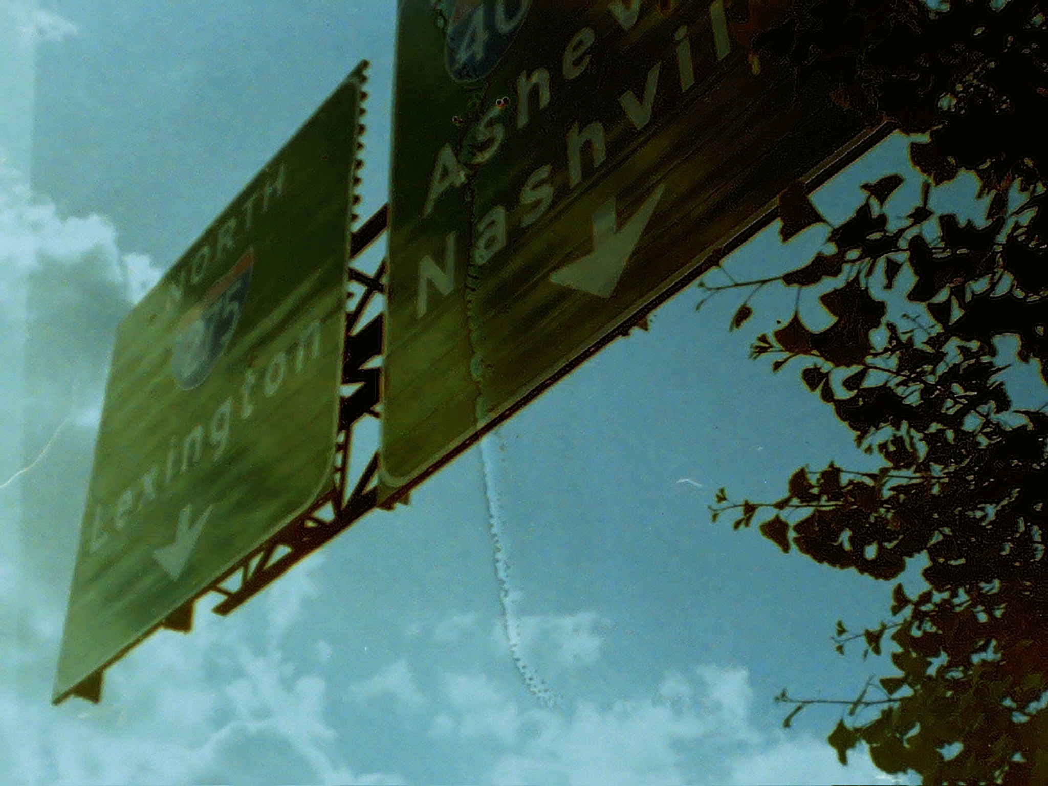 Film photograph 17