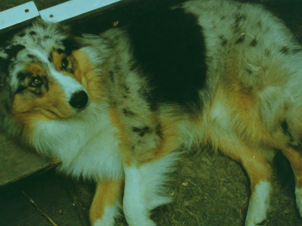 Film photograph 26