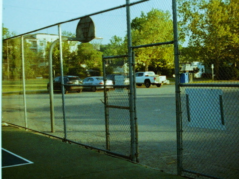 Film photograph 27