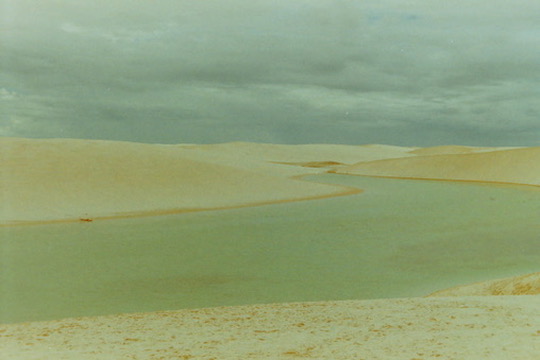 Film photograph 28