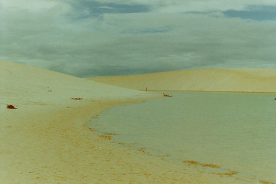 Film photograph 33