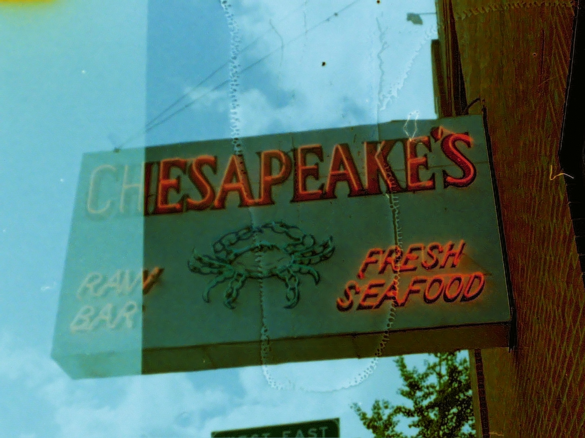 Film photograph 46