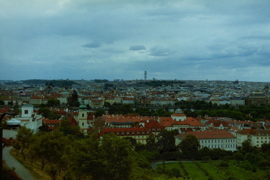 Film photograph 53