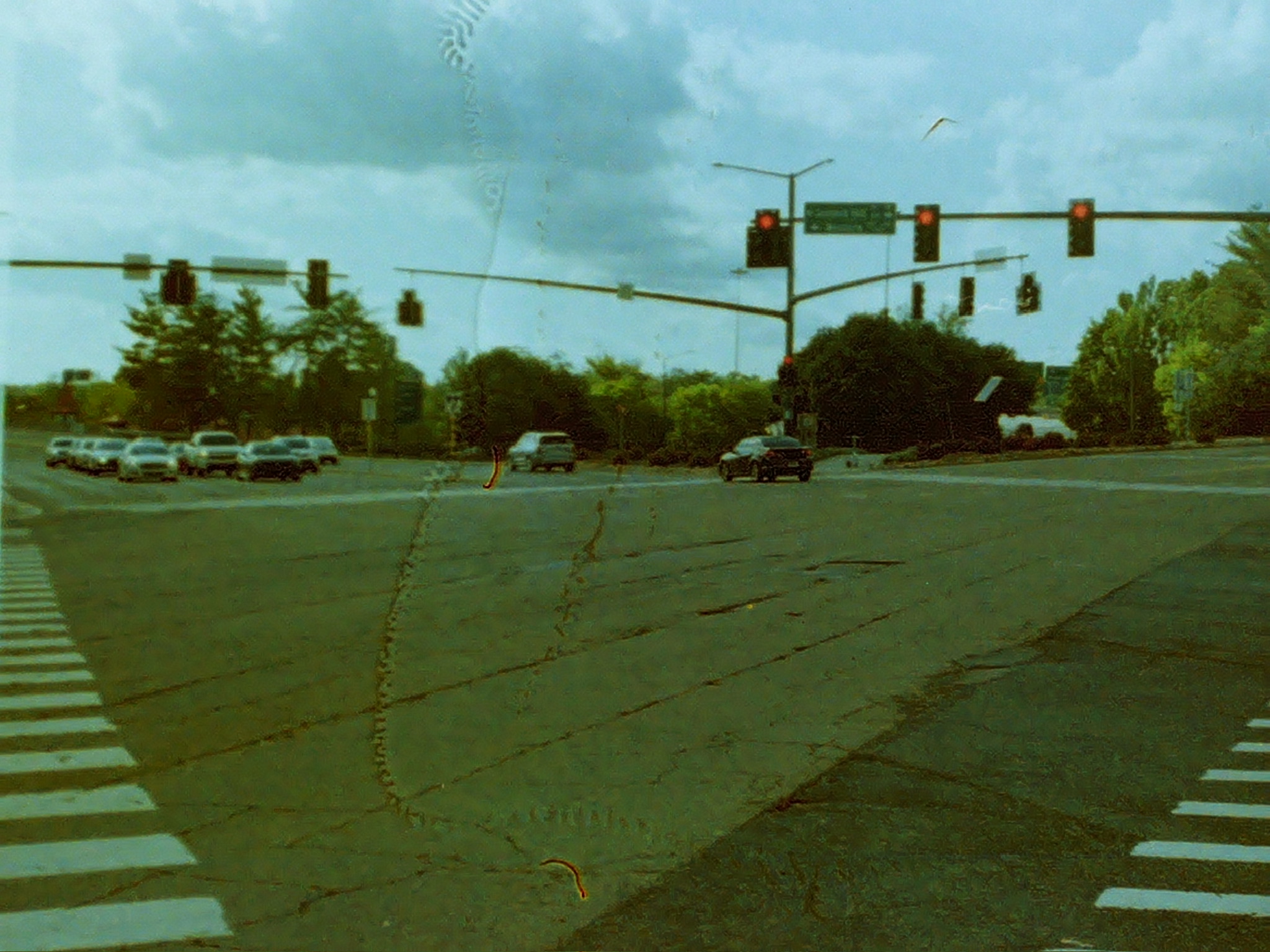 Film photograph 58