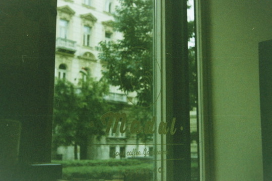 Film photograph 66
