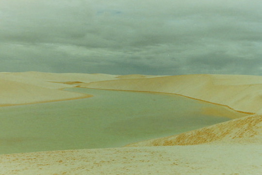 Film photograph 69