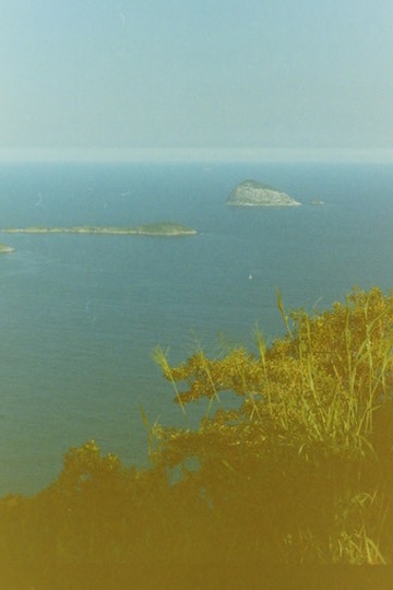 Film photograph 71