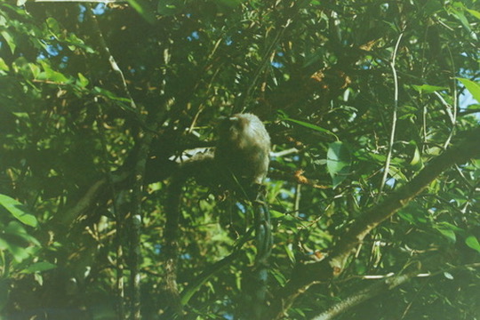 Film photograph 74