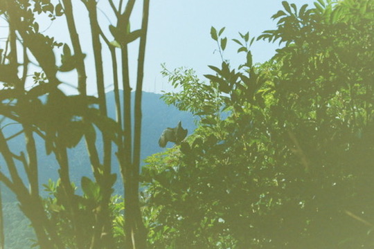Film photograph 76