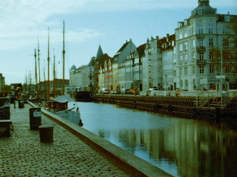 Film photograph 84