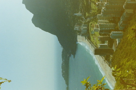 Film photograph 99