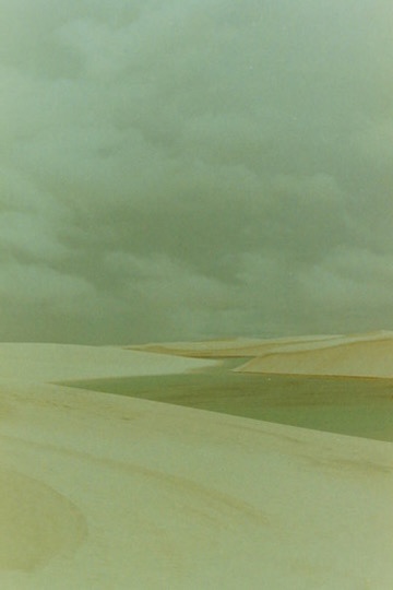 Film photograph 109