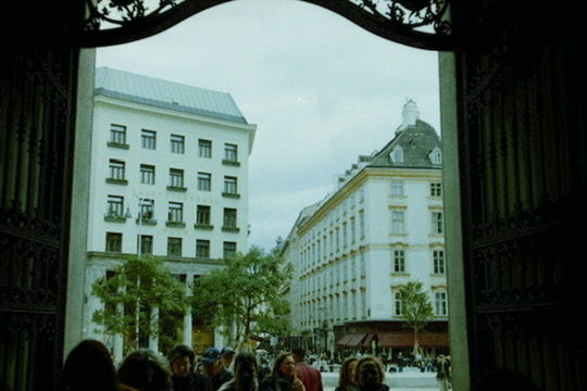 Film photograph 113