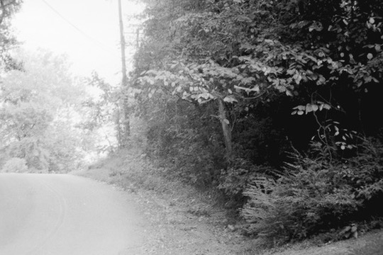 Film photograph 118