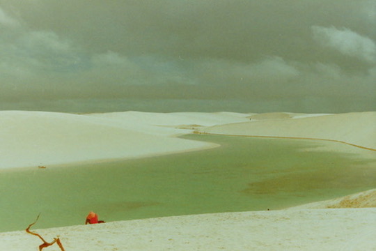 Film photograph 123