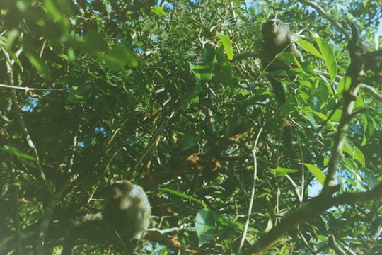Film photograph 124