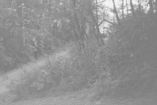 Film photograph 126