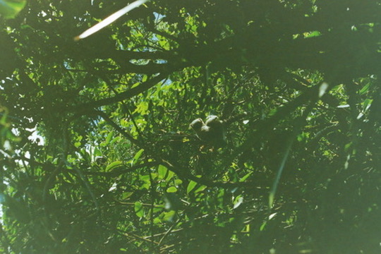 Film photograph 127
