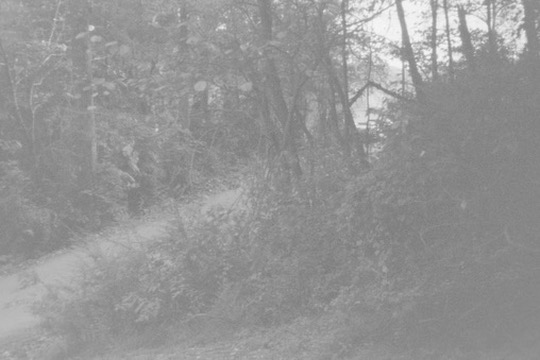 Film photograph 130