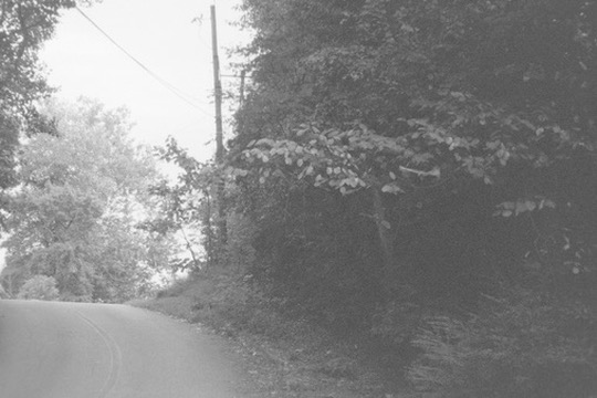 Film photograph 137