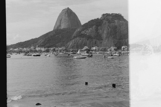 Film photograph 138