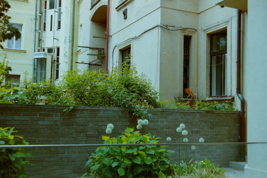 Film photograph 145