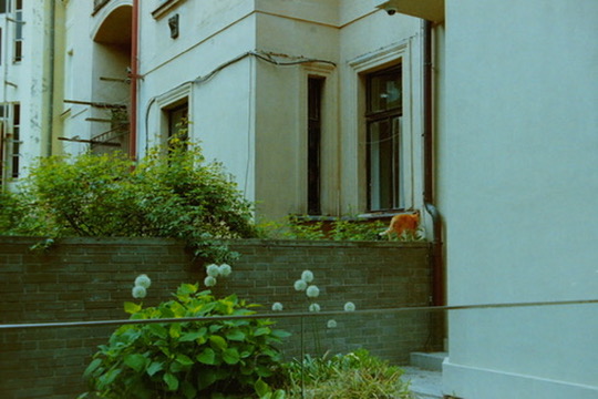 Film photograph 147