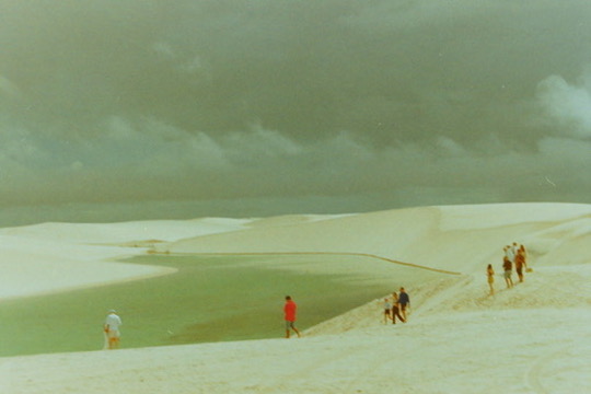 Film photograph 163
