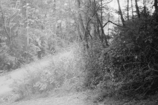 Film photograph 165