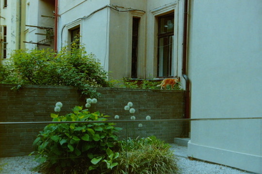 Film photograph 178