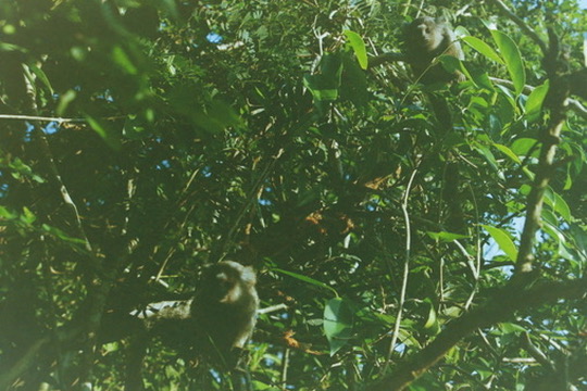 Film photograph 179